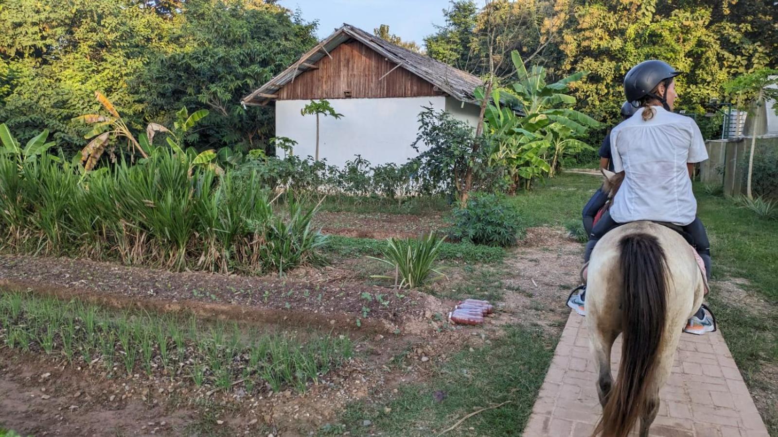 Namkhan Horses Stables Λουάνγκ Πραμπάνγκ Εξωτερικό φωτογραφία