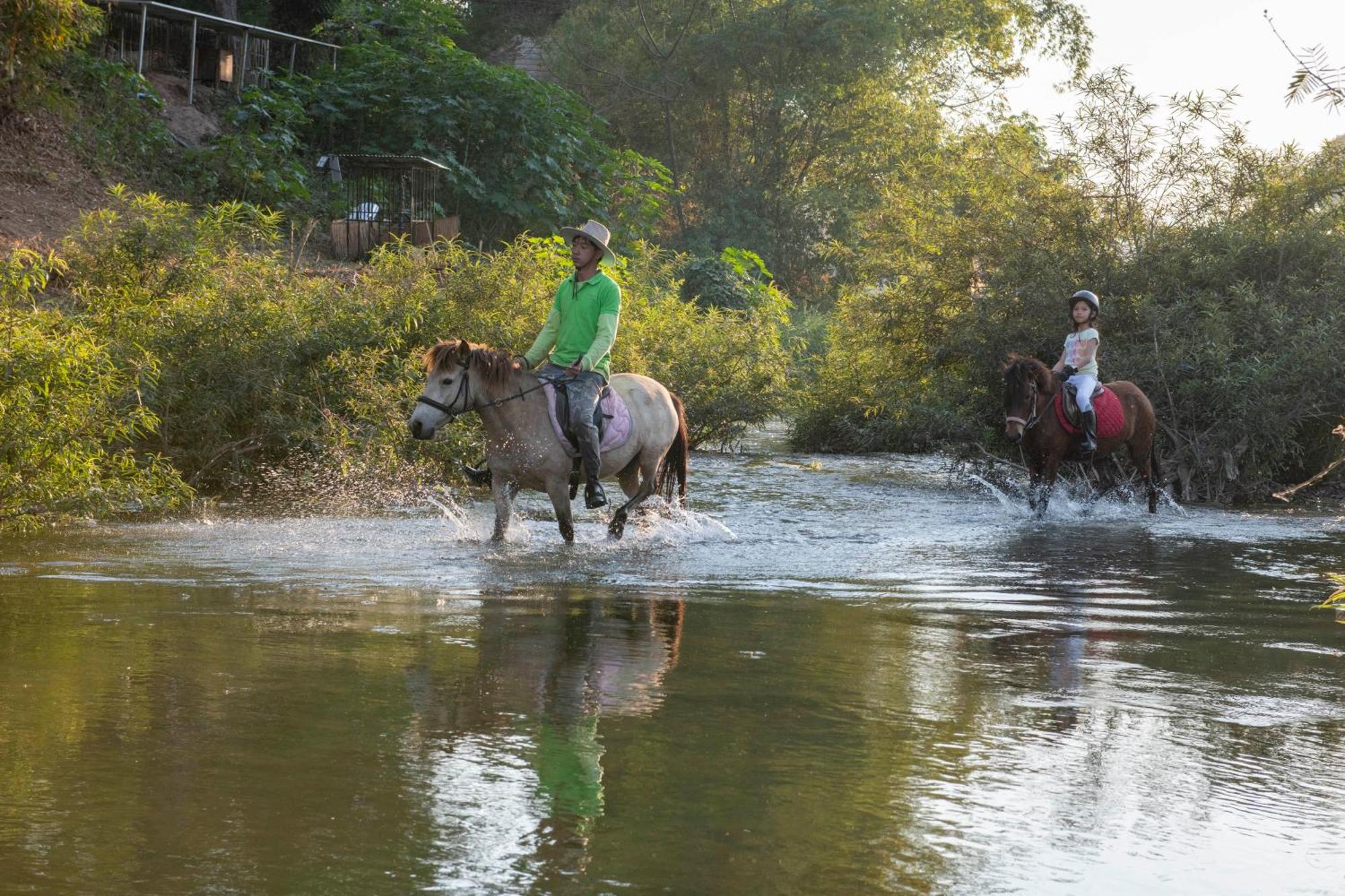 Namkhan Horses Stables Λουάνγκ Πραμπάνγκ Εξωτερικό φωτογραφία