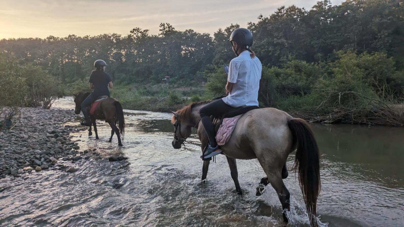 Namkhan Horses Stables Λουάνγκ Πραμπάνγκ Εξωτερικό φωτογραφία