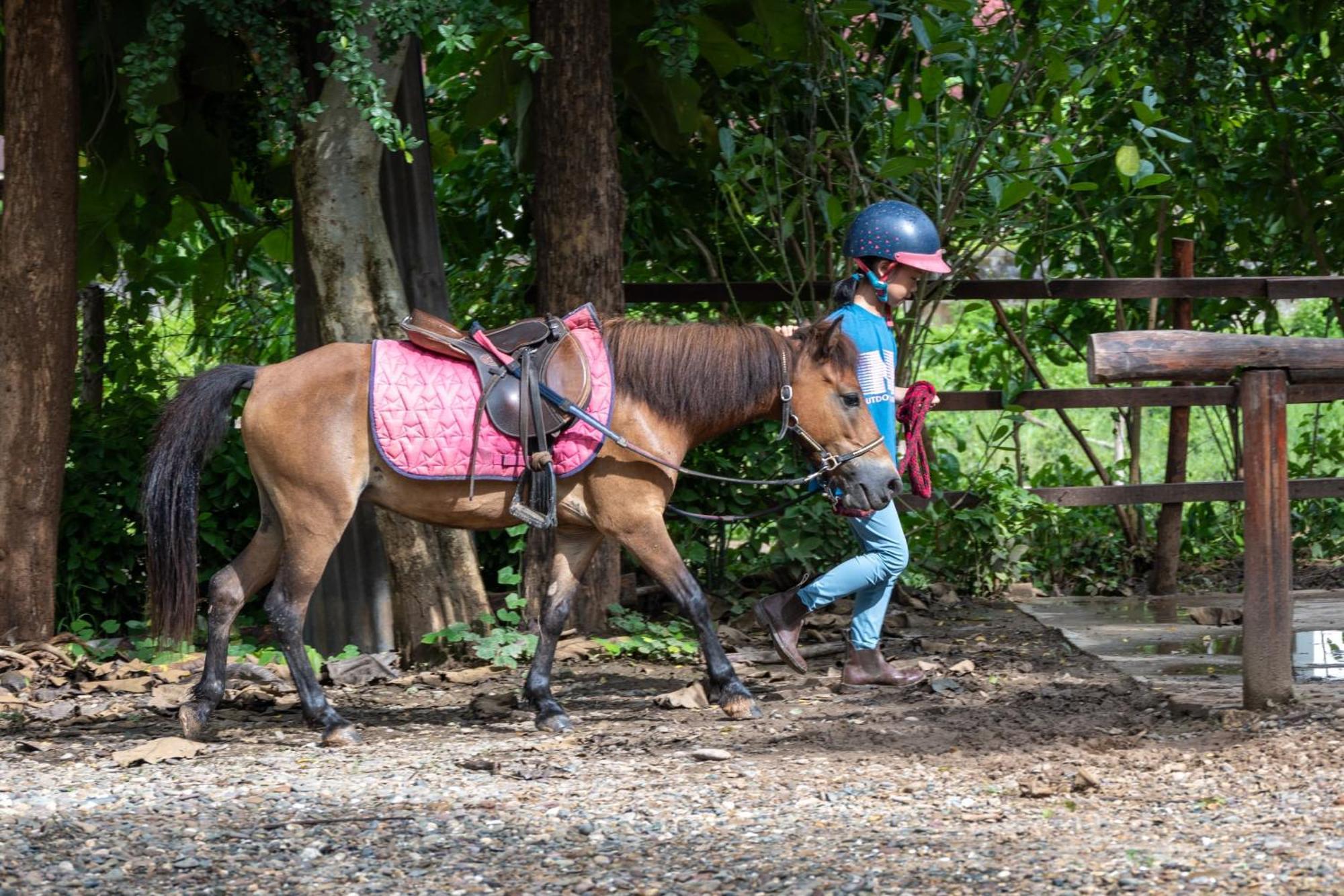 Namkhan Horses Stables Λουάνγκ Πραμπάνγκ Εξωτερικό φωτογραφία